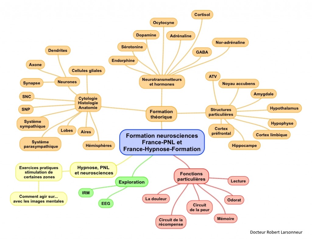 Formation-neurosciences-map-mind-1