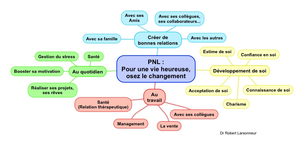 PNL Programation neuro linguistique Osez le changement copier copier